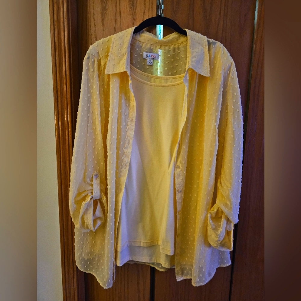 Plus size 2 pc blouse with tank